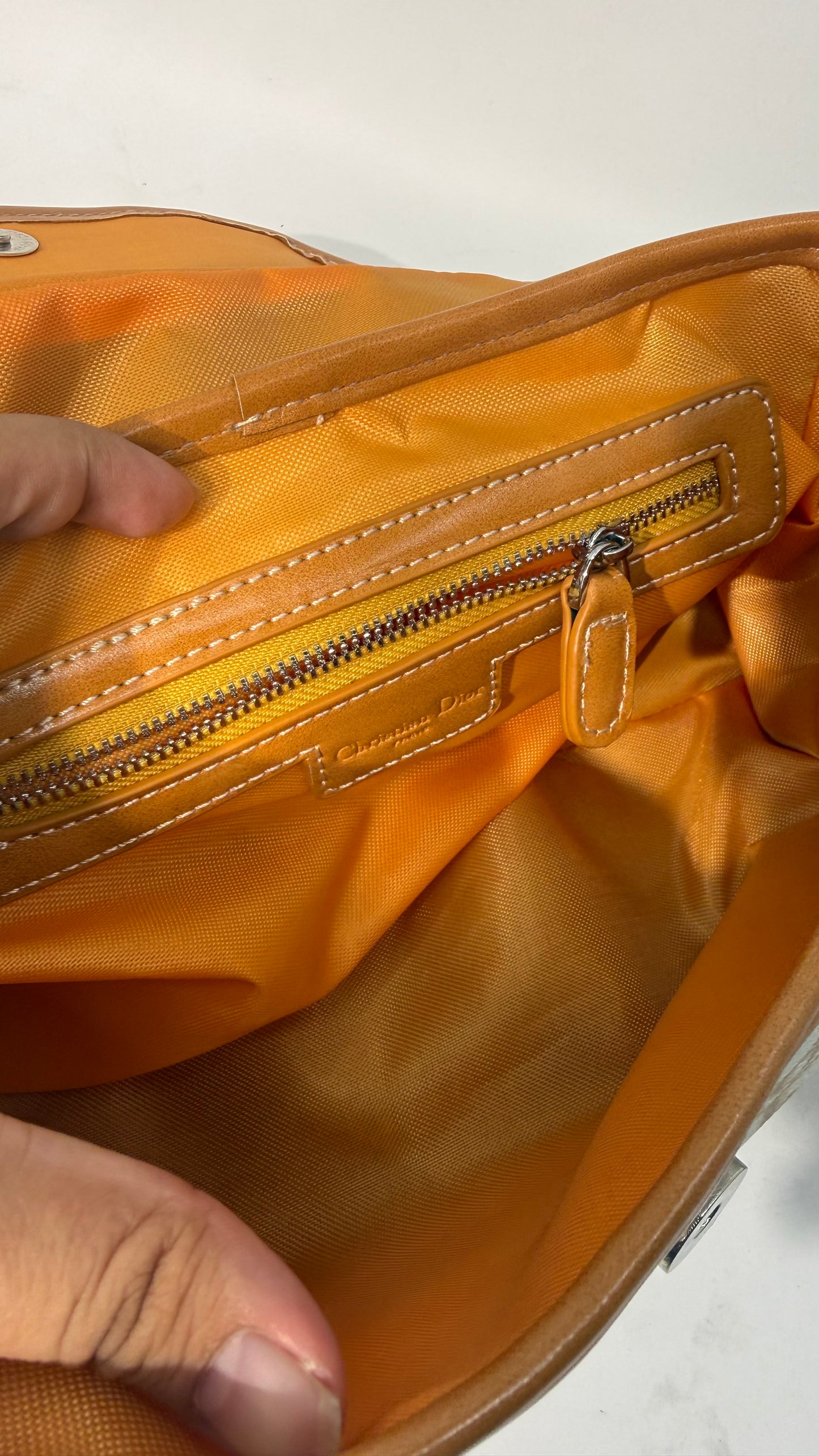 Christian Dior VIP Rasta Baguette 2026