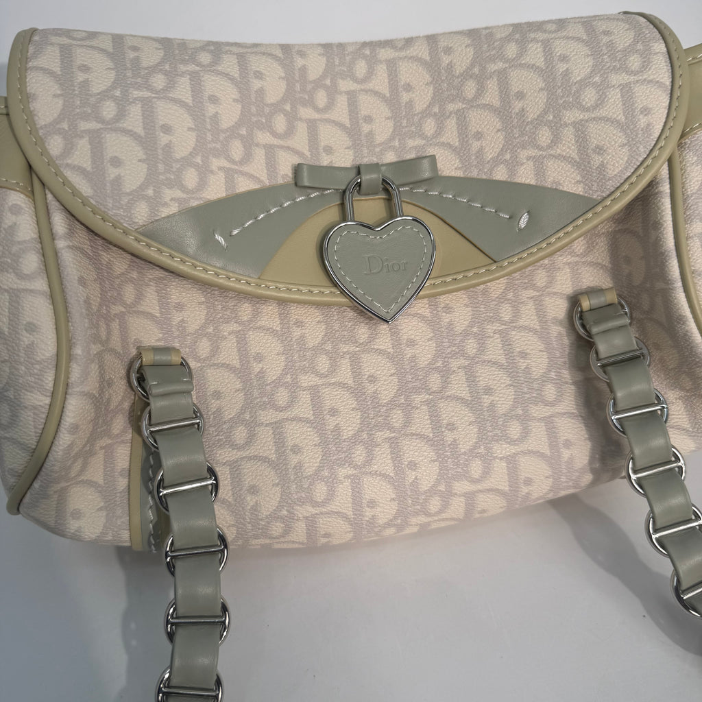 Christian Dior Monogram Romantique Baguette