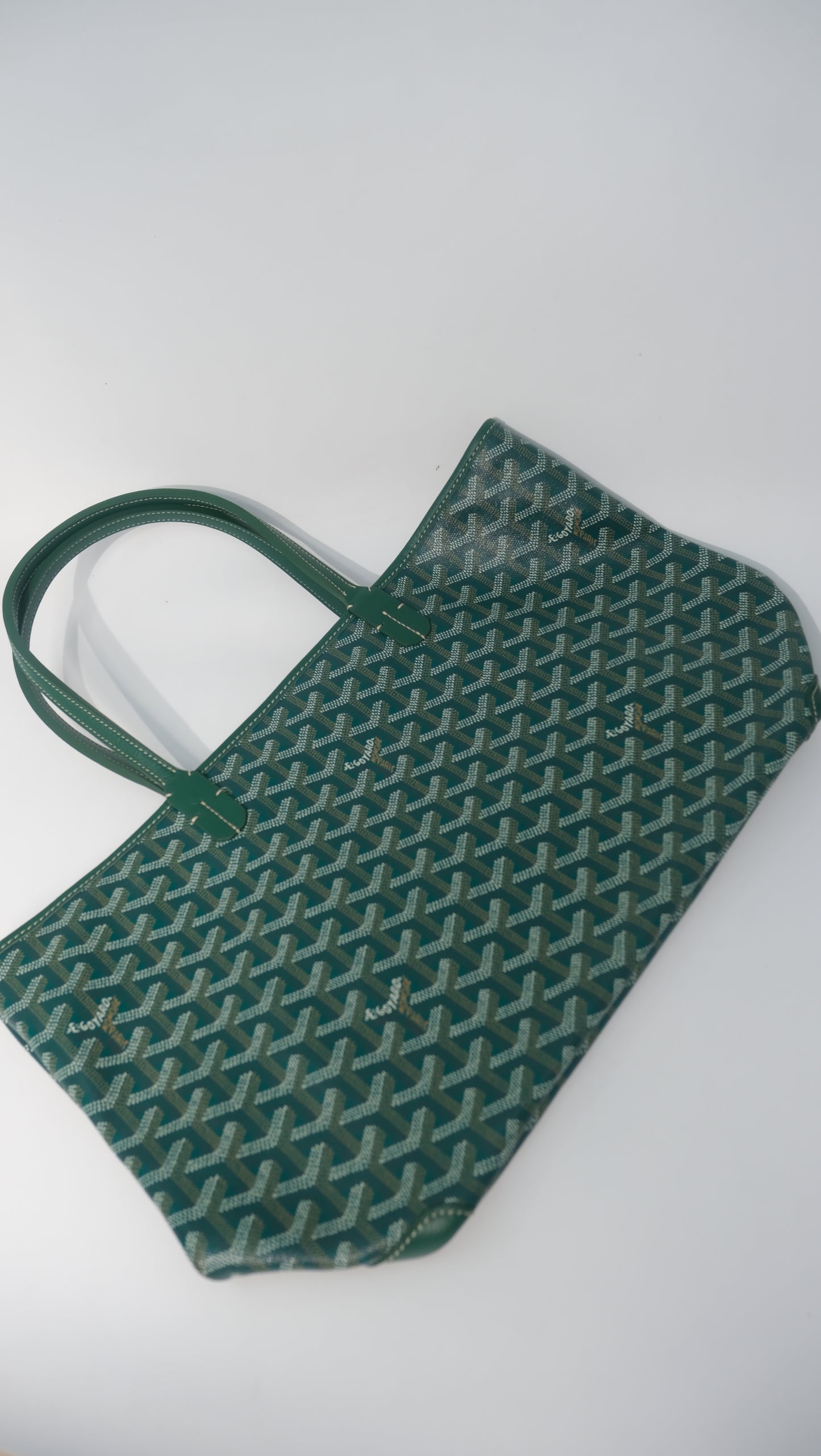 Goyard Artois PM (Green)