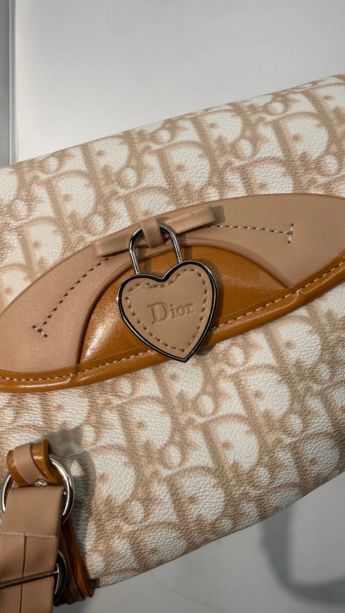 Christian Dior VIP Rasta Baguette 2026