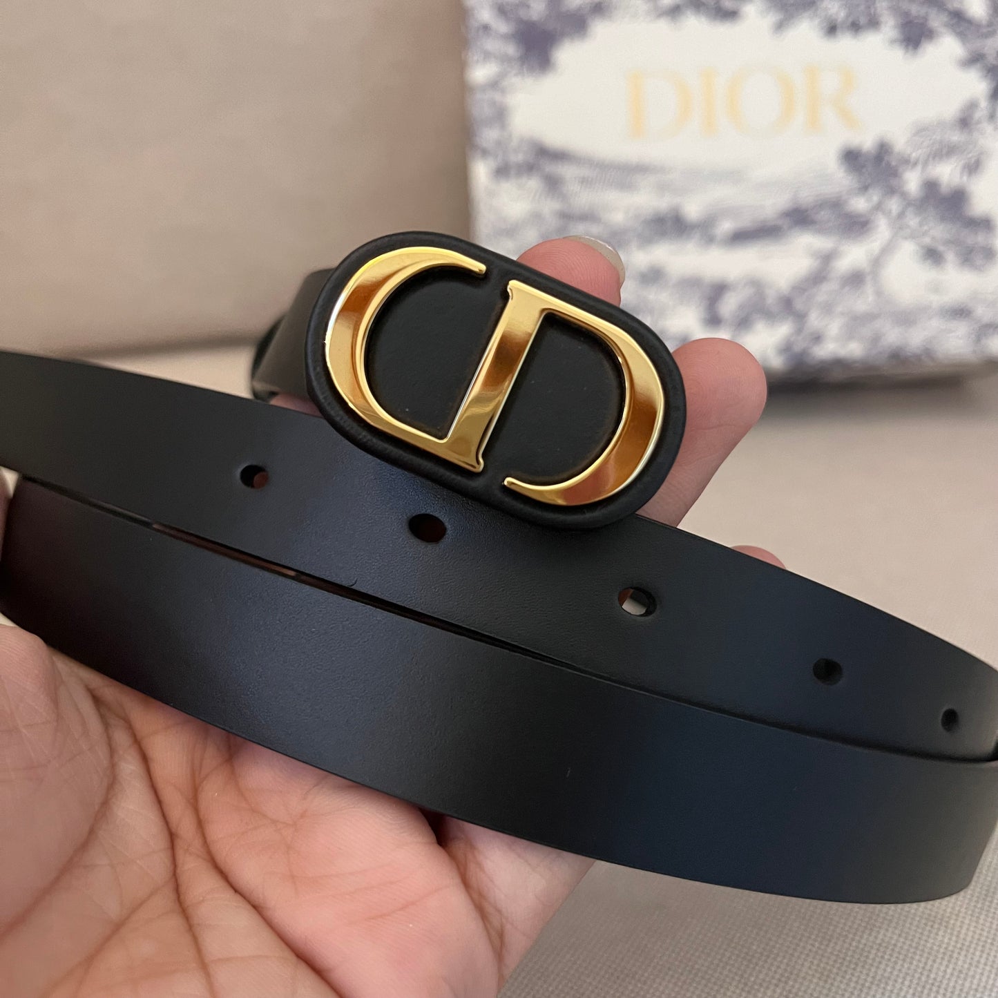 Christian Dior Buckle Belt (2.0)