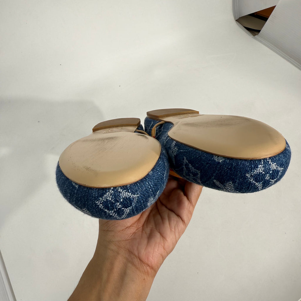 Louis Vuitton Denim Mary Jane Flats
