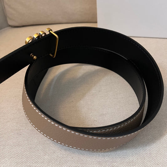 Loewe Belt (2.0)
