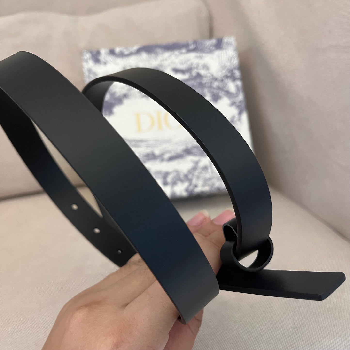 Christian Dior Buckle Belt (2.0)
