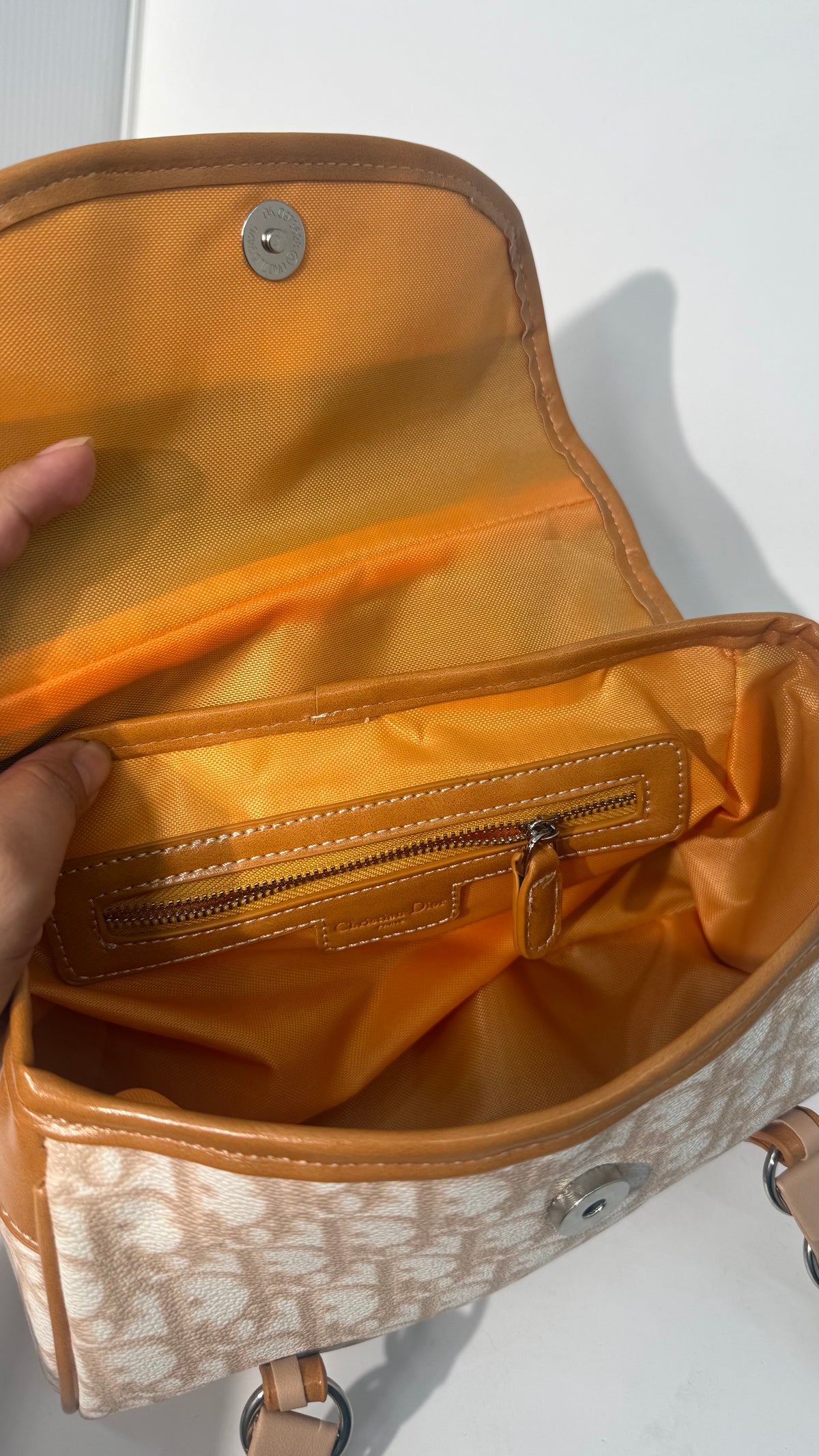 Christian Dior VIP Rasta Baguette 2026