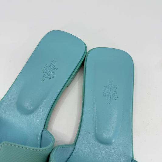 Hermes Oran Epsom (Blue/Green)