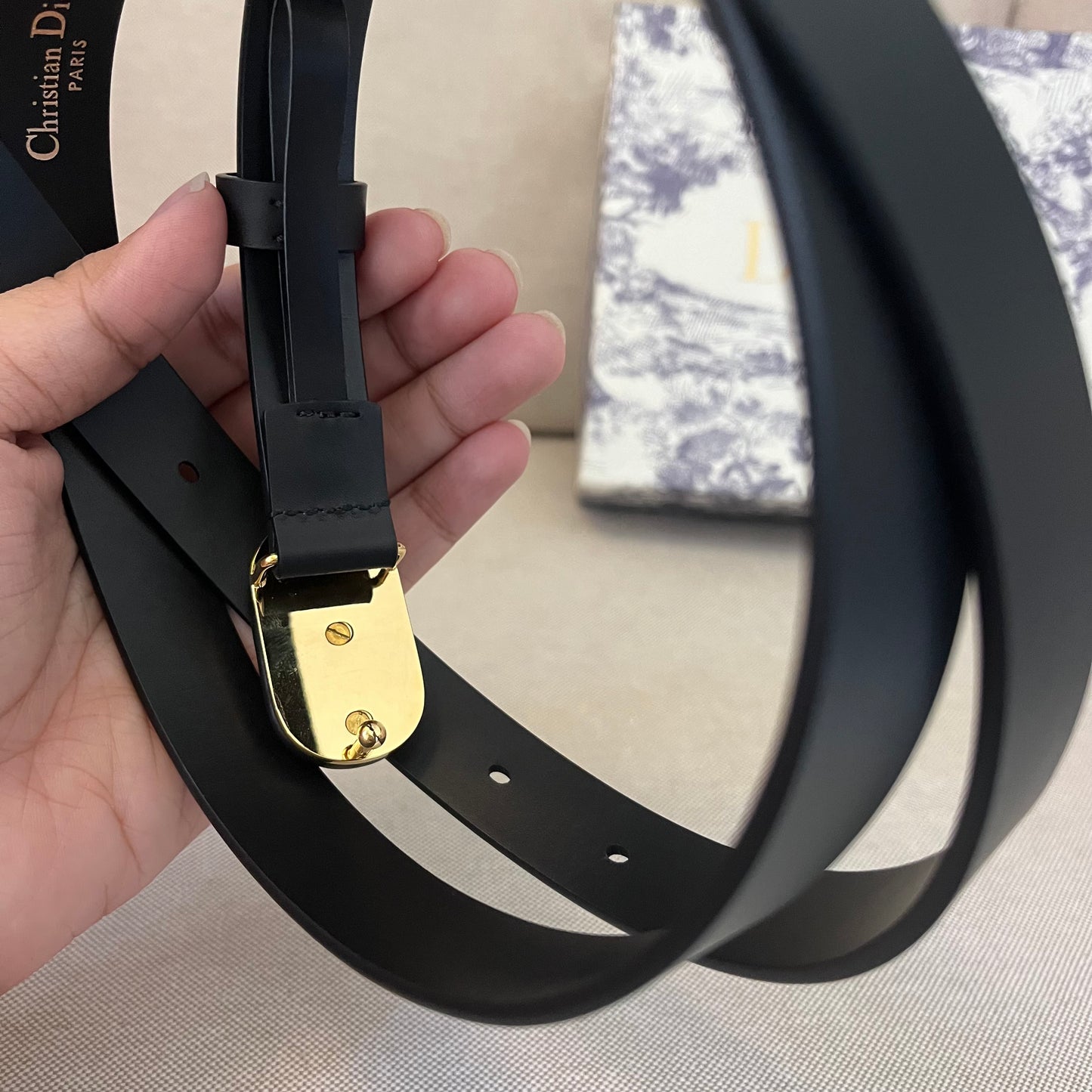 Christian Dior Buckle Belt (2.0)