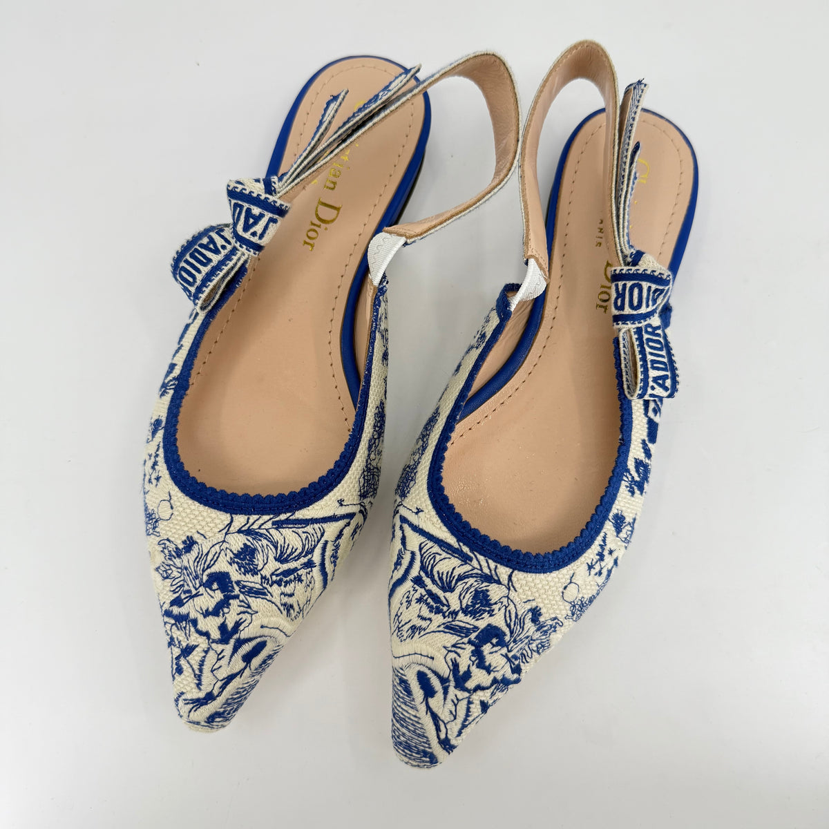 Christian Dior Slingback (Blue Elegant Print)
