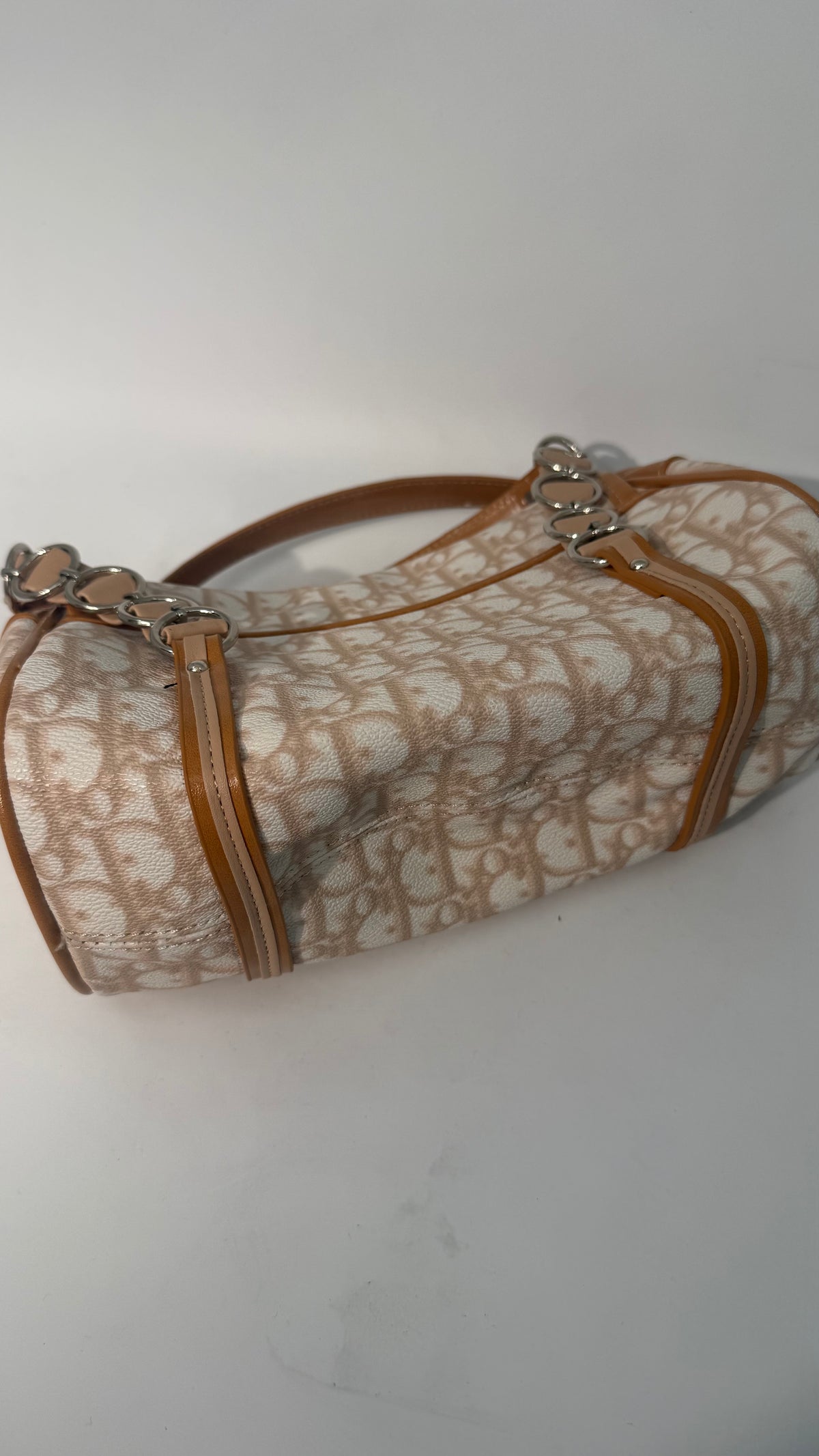 Christian Dior VIP Rasta Baguette 2026