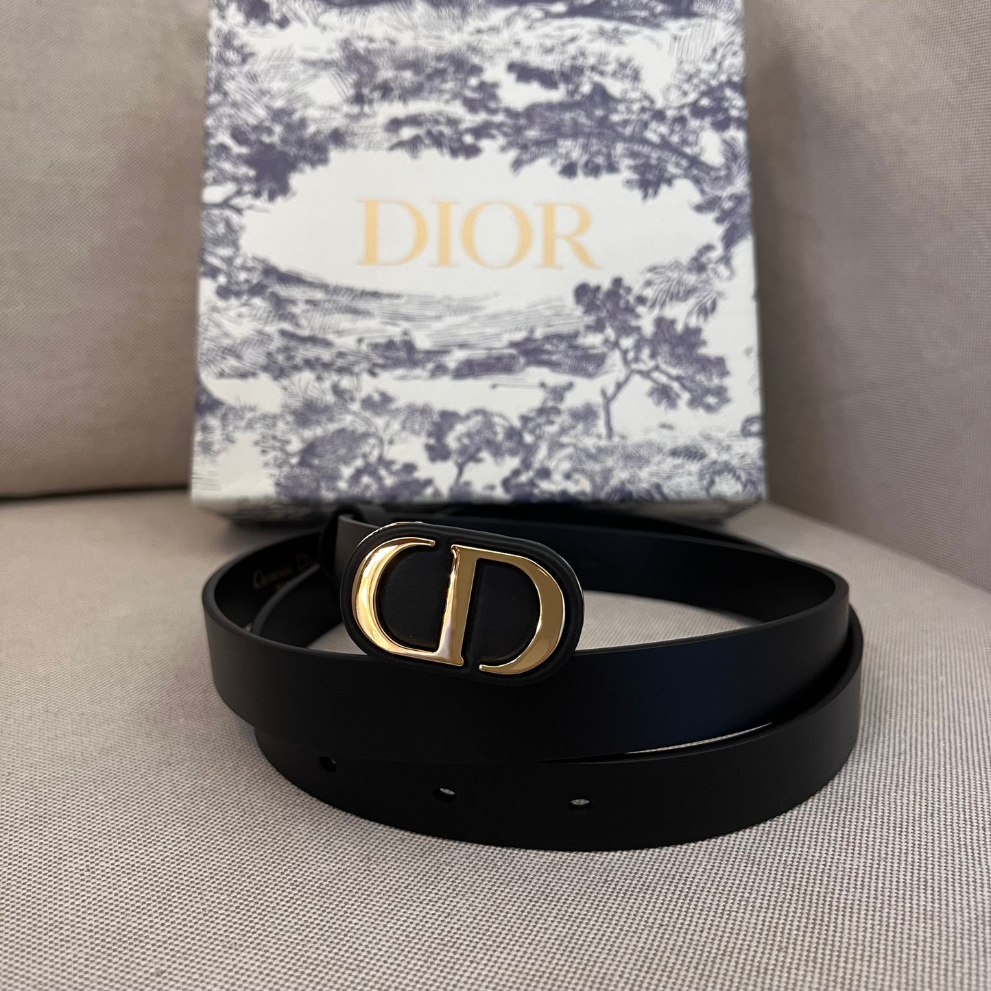 Christian Dior Buckle Belt (2.0)