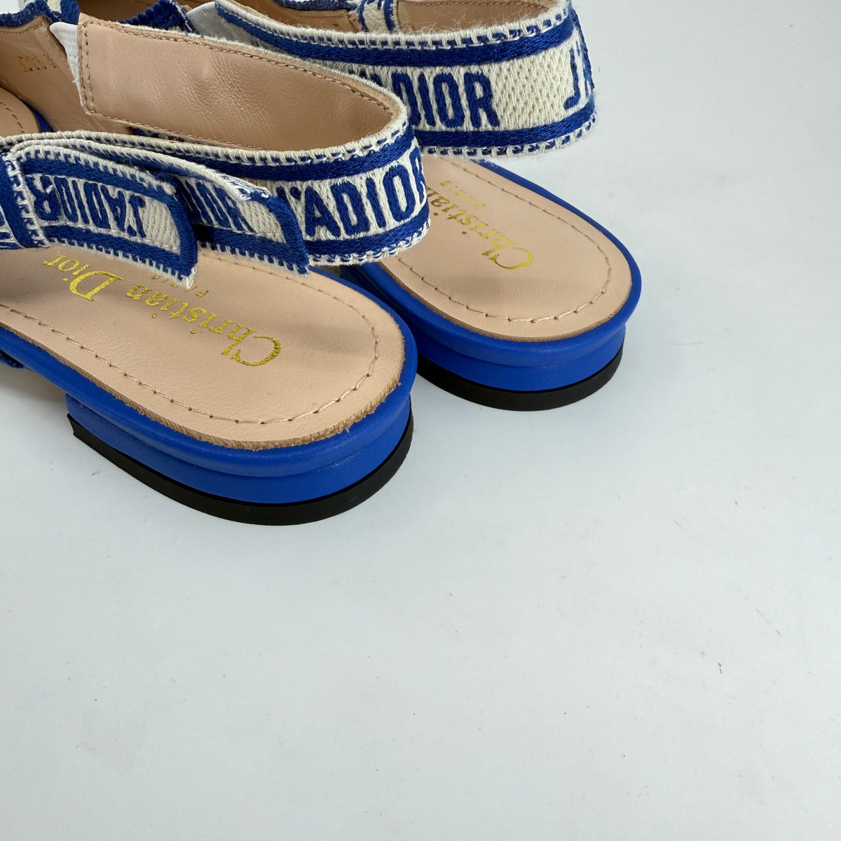 Christian Dior Slingback (Blue Elegant Print)