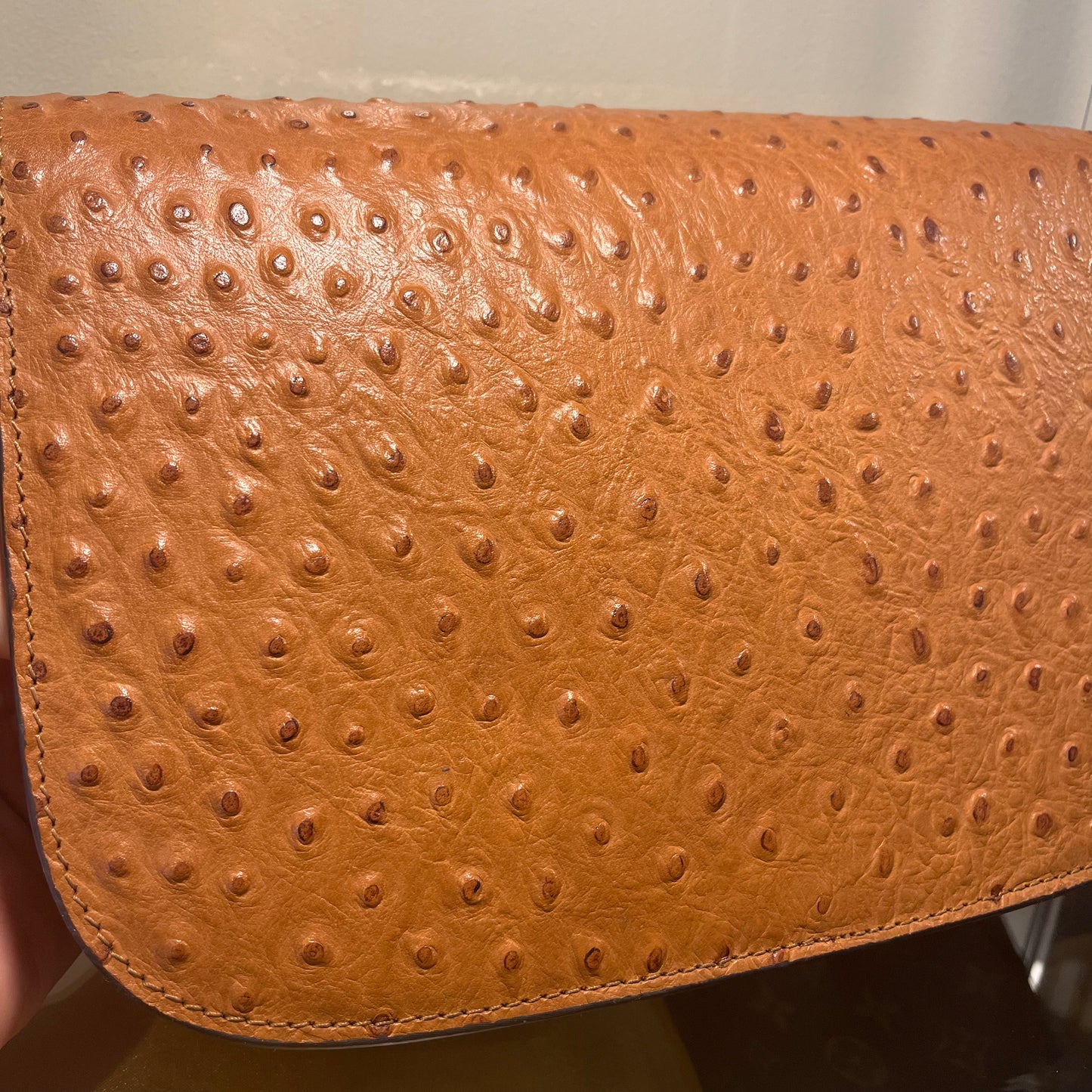 Gucci Horsebit Ostrich Crossbody
