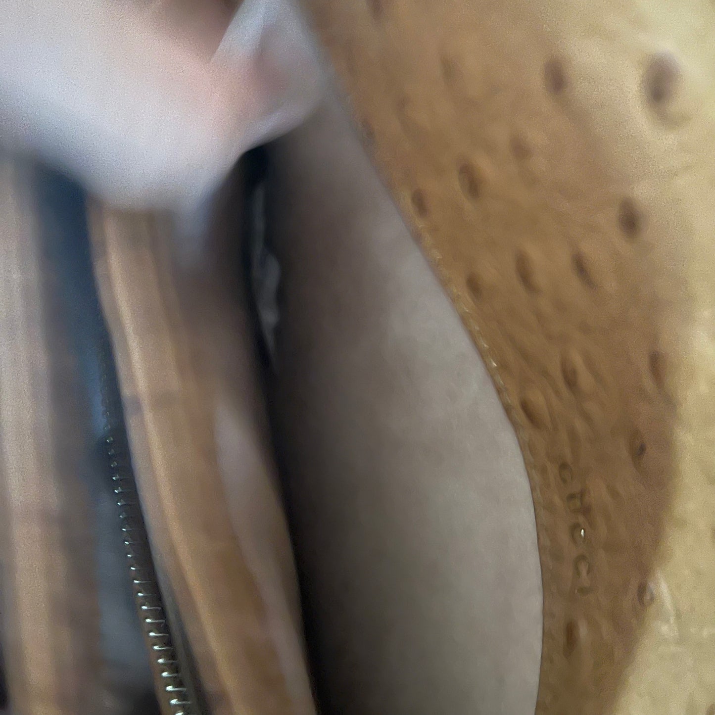 Gucci Horsebit Ostrich Crossbody