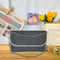 Christian Dior Party Bag