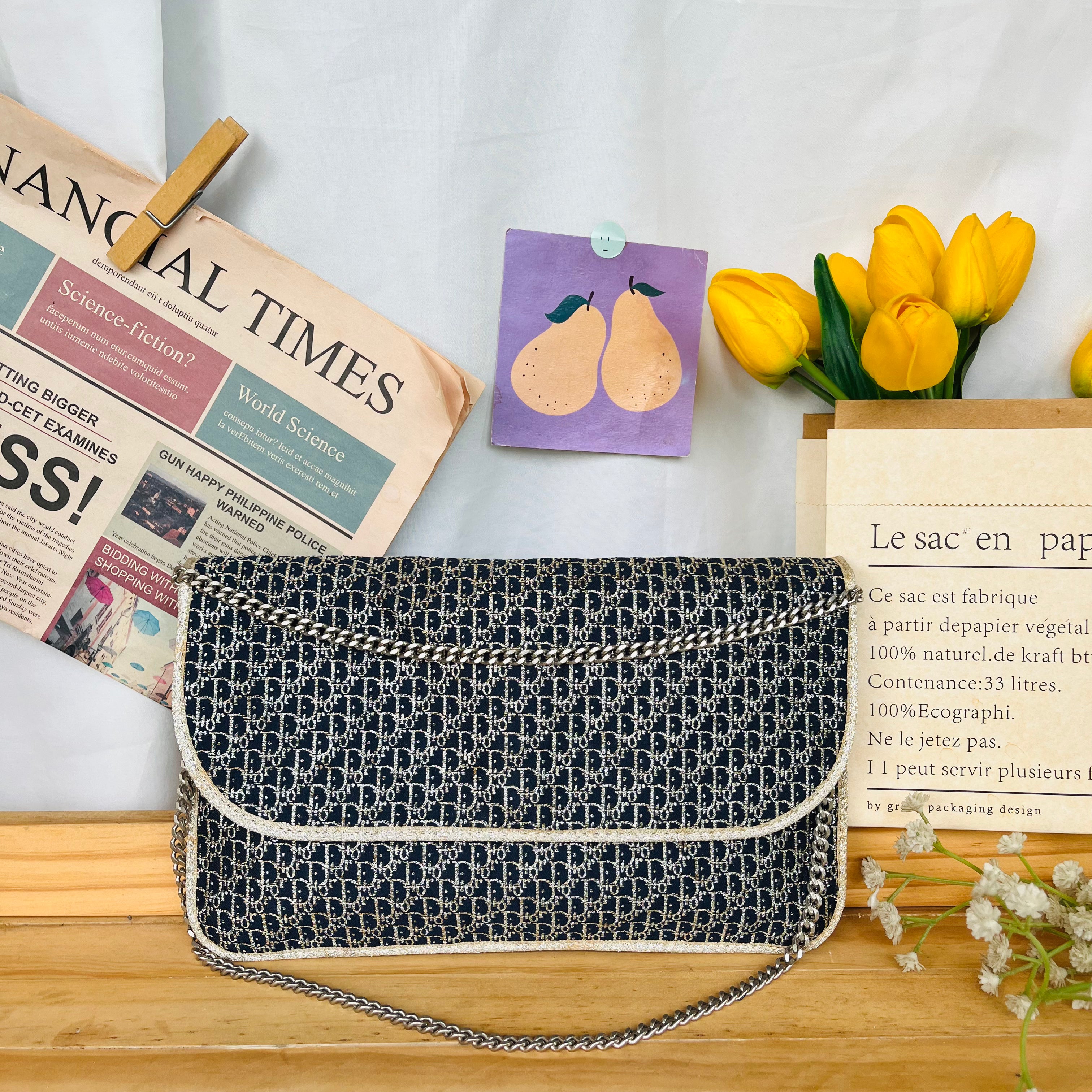 Christian Dior Party Bag