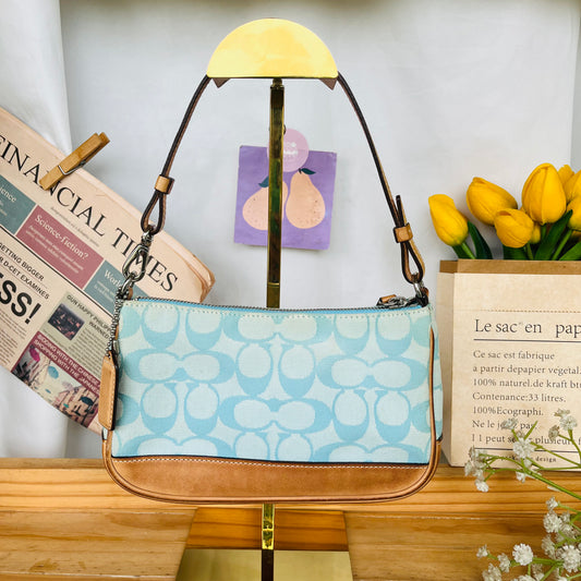 Coach Blue Pochette