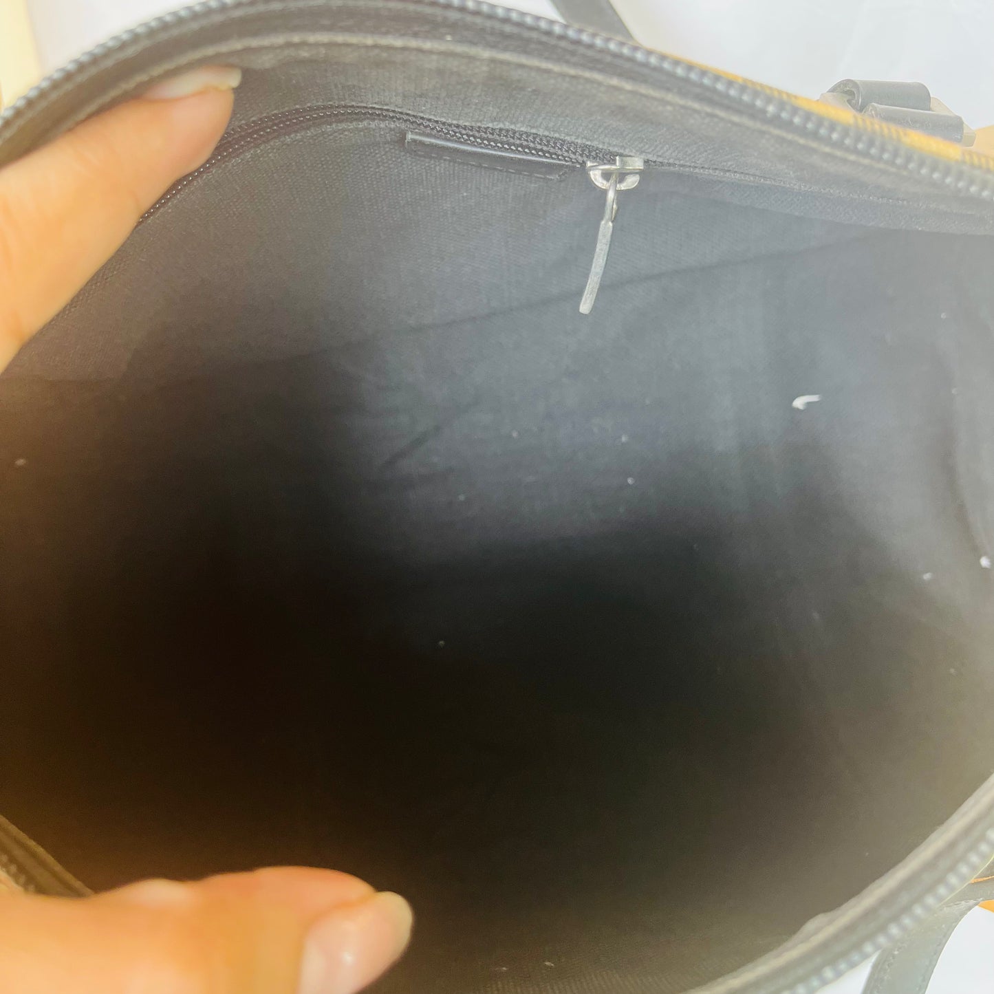 Burberry Papillon