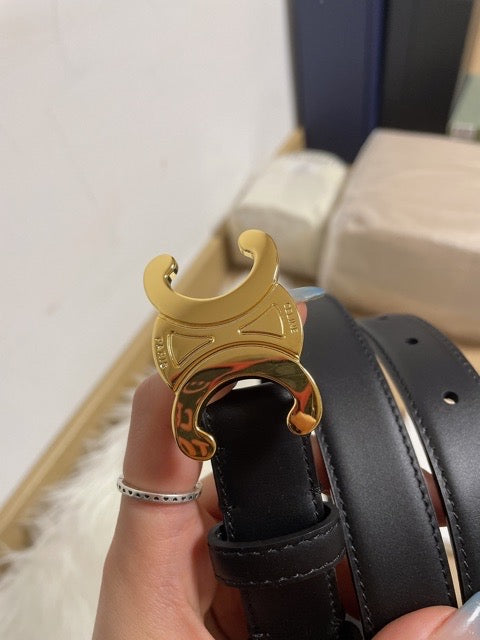 Celine Triomphe Belt 110
