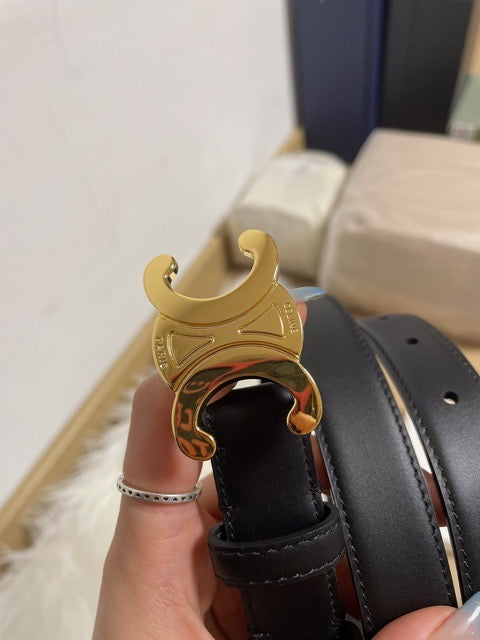 Celine Triomphe Belt 110