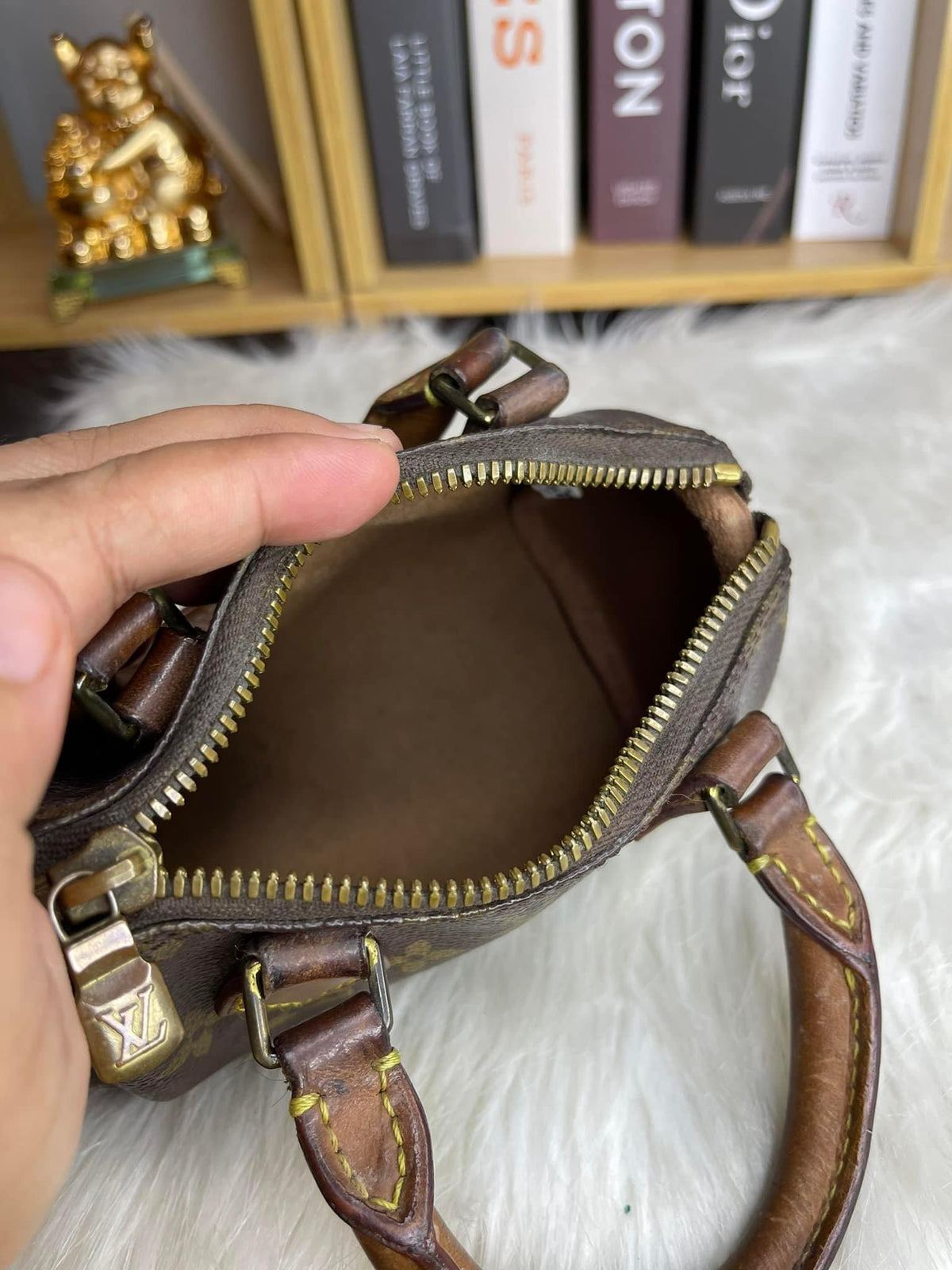 Louis Vuitton Speedy Nano