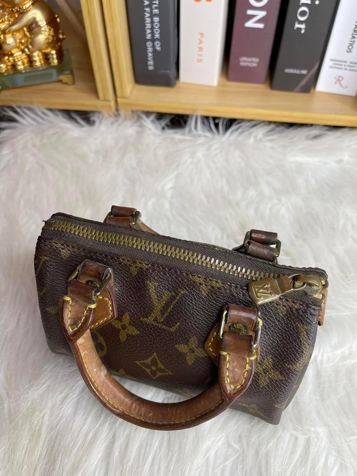 Louis Vuitton Speedy Nano